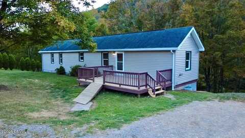 323 AUSTIN Trail, Orangeville, PA 17859