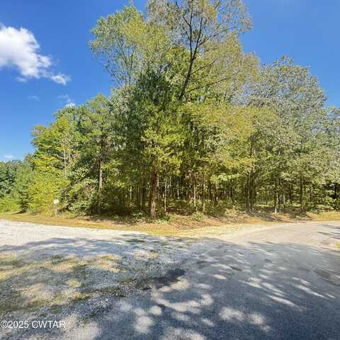 313 Logger Lane, Cedar Grove, TN 38321