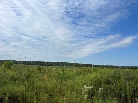 . Pea Market Road, Columbia, AL 36319