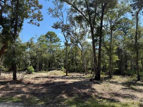 279 519th Ave, Old Town, FL 32680