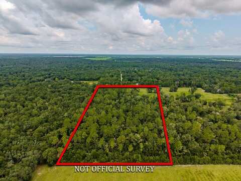 580th St, Old Town, FL 32680