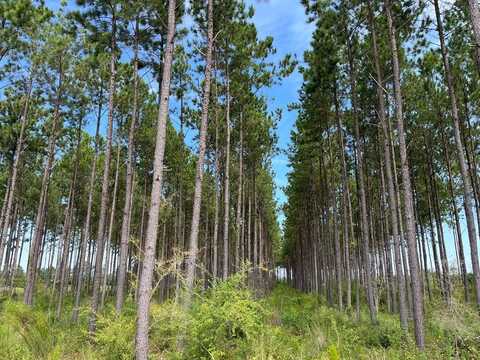 TBD Pea Market Road, Columbia, AL 36319