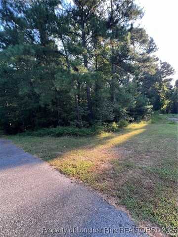Dumbarton Drive, Sanford, NC 27330