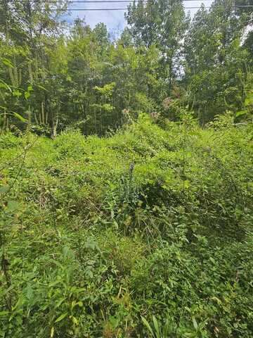 24.74 Ac East Fork Rd, Sylva, NC 28779