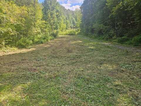 24.74 Ac East Fork Rd, Sylva, NC 28779