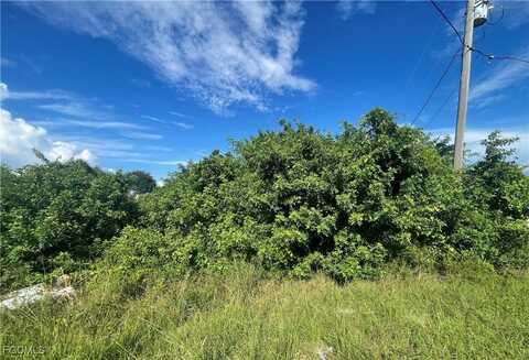 1001 Chadbourne Avenue, Lehigh Acres, FL 33971