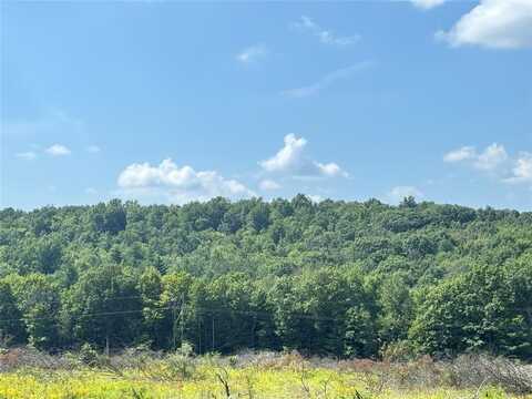 840 S Jensen Road, VESTAL, NY 13850