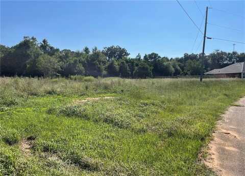 0 Brighton Drive, Chunchula, AL 36571