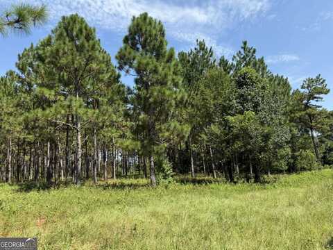 02 Barge Rd, Lumpkin, GA 31815