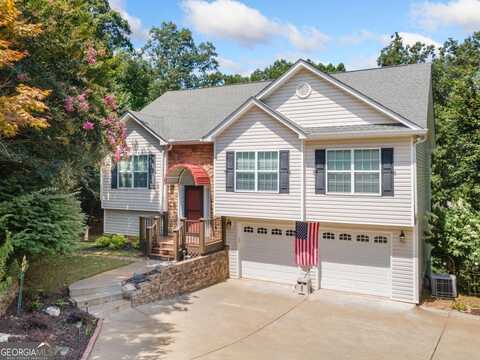 173 Birchwood, Ellijay, GA 30540