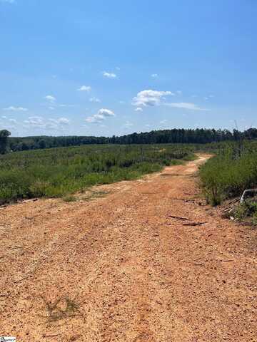 00 Cowens Bridge Road, Gray Court, SC 29645