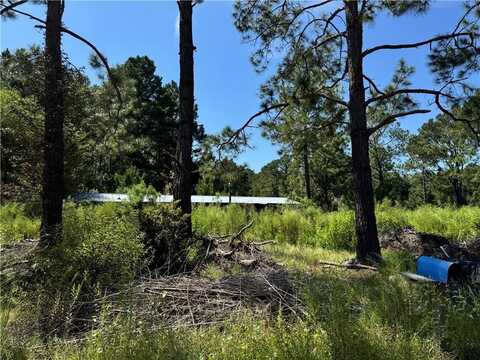 1815 Hacklebarney Lane, Blackshear, GA 31516