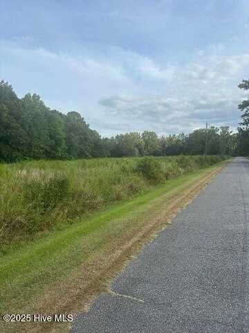 0 Chance Boulevard, Parmele, NC 27861