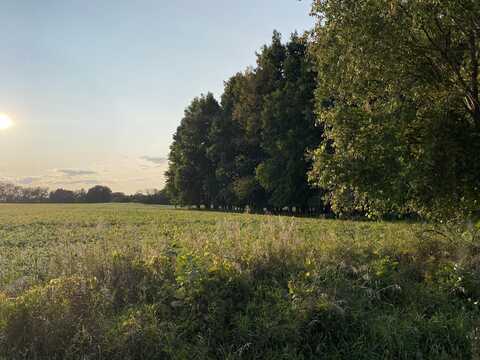 Hillman Road, Lakeview, MI 48850