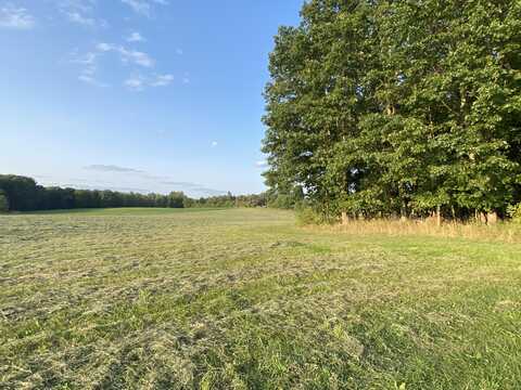 4451 N Hillman Road, Lakeview, MI 48850