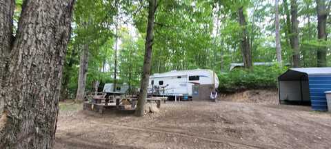 5071 E Sassafrass Lane, Custer, MI 49405