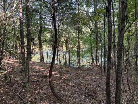 1460 Whitetown Road, Mc Cormick, SC 29835