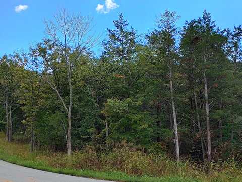 4911 Fall Creek Road, Branson, MO 65616