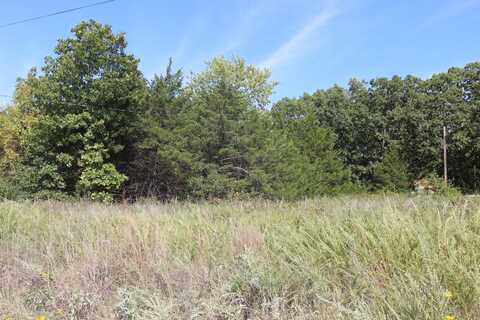 Tbd Lookout Trail, Fair Grove, MO 65648