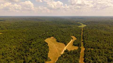 Tbd County Road 443, Birch Tree, MO 65438