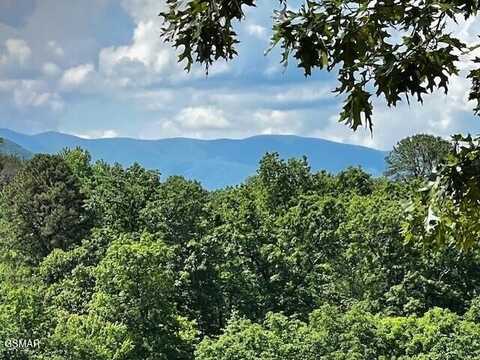 3328 Sugar Maple Loop Road, Sevierville, TN 37862
