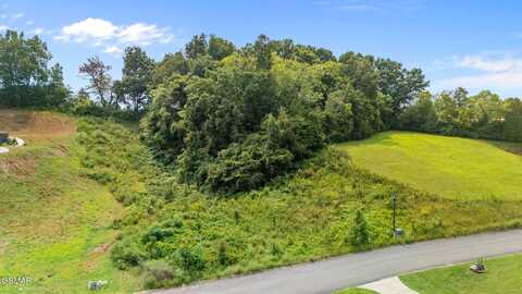 Sierra Lane lot: 16, Sevierville, TN 37862