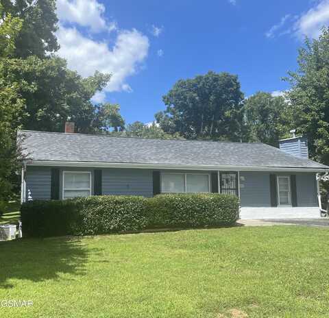 441 Mimosa Street, Mount Carmel, TN 37645