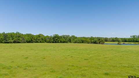 TBD 11.17 acres FM 856, Troup, TX 75789