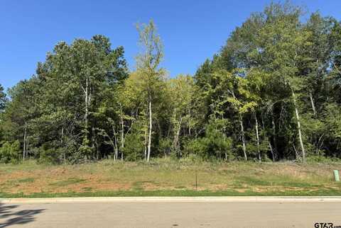 2449 Wilderness Cv, Tyler, TX 75703