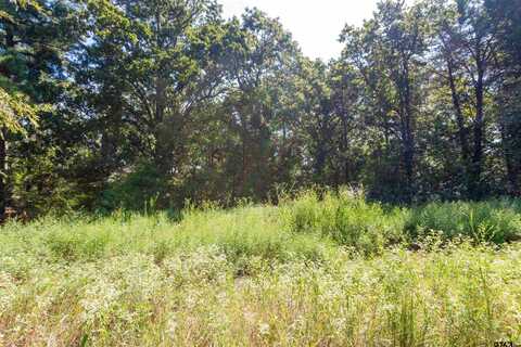 13234 Mountain View Rd S, Winona, TX 75792