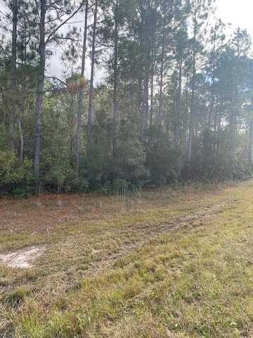 00 Worth Groover Road, Hinesville, GA 31313