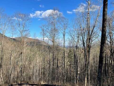 Lot 2 Frond Court, Sapphire, NC 28774