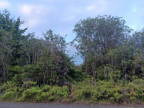 ROAD 3 (HOPUE), Mountain View, HI 96771