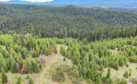 Tbd Parcel 9 Tree Farm Trails Road, Elk City, ID 83525
