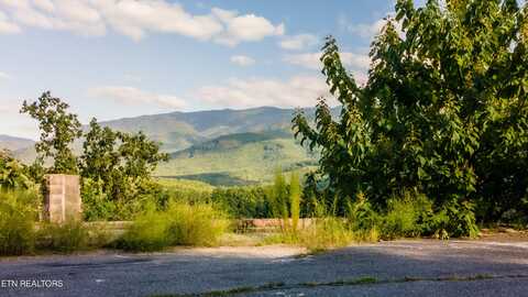 843 Deer Path Lane, Gatlinburg, TN 37738