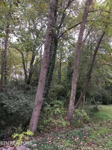 0 Timbercrest Drive, Clinton, TN 37716