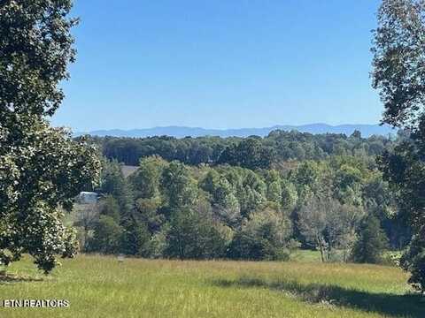 327 Thompson Rd, Madisonville, TN 37354