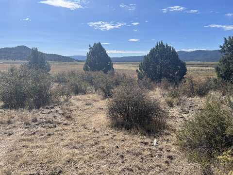 Drews Road, Sprague River, OR 97639
