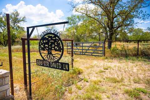 595 Other, Poteet, TX 78065