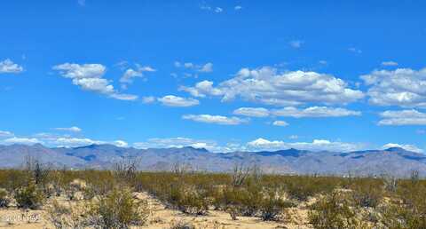 3135 W Desert Candle Dr, Yucca, AZ 86438
