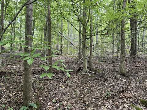 6 Acres Trentham Rd Off, Newport, TN 37821
