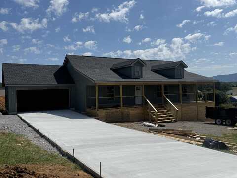 213 North Ridge Drive, Parrottsville, TN 37843