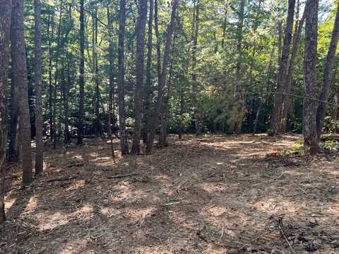 Lot 314 Highlands, Zoe, KY 41397
