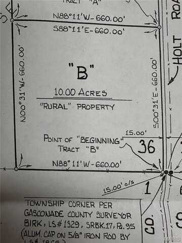 0 HOLT Road, Bland, MO 65014