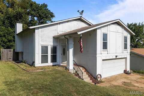 7255 Meriwether Court, Barnhart, MO 63012