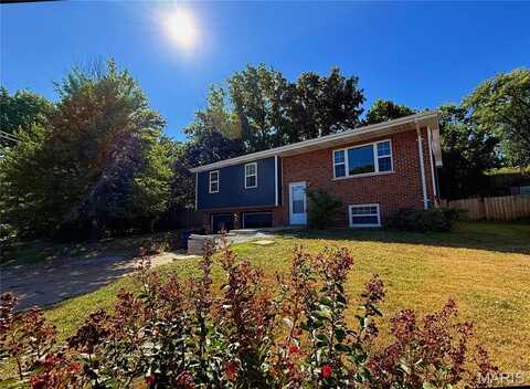 11000 Torigney Drive, Saint Louis, MO 63126