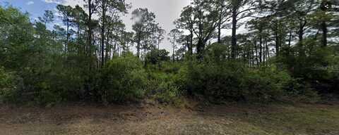 1190 AGNEW STREET, PUNTA GORDA, FL 33980