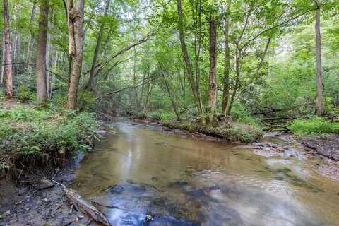 23.59 AC Chestnut Flats Rd, ANDREWS, NC 28901