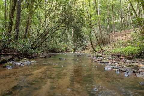 2.9 AC Chestnut Flats Rd, ANDREWS, NC 28901