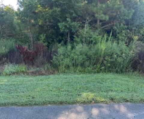 .88 Acres Hill Road, Owens Cross Roads, AL 35763
